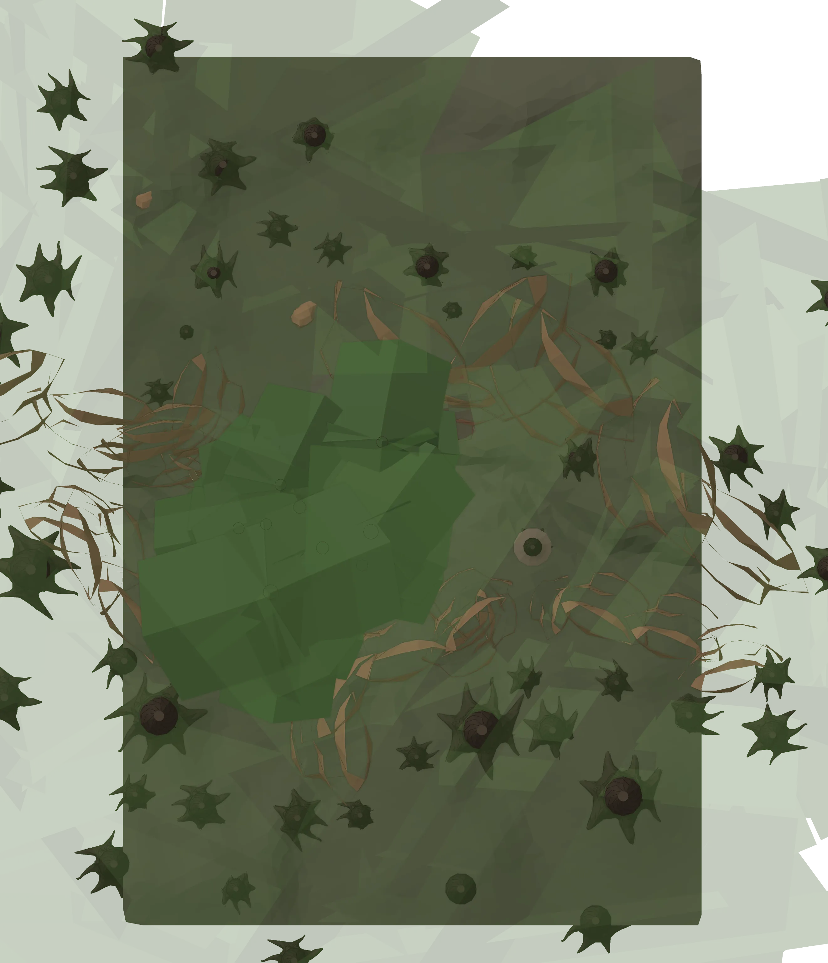 Map of Forest Biome – Map